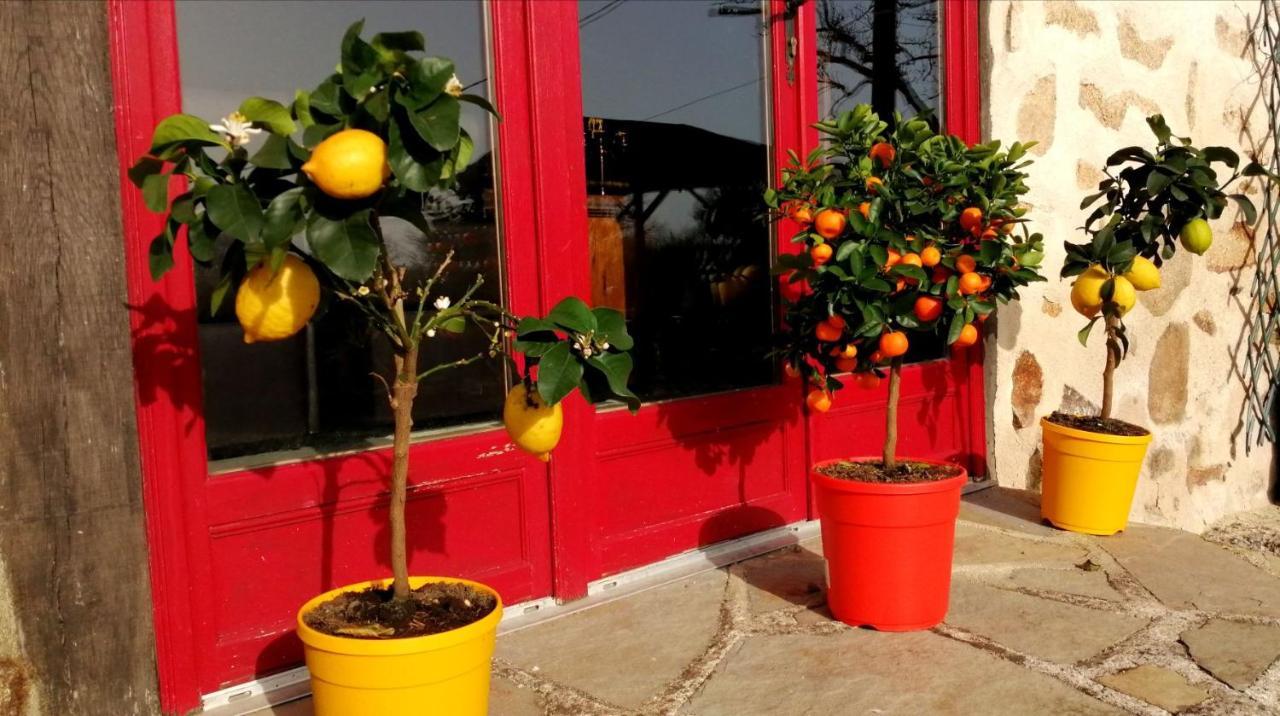 Bed and Breakfast La Grange Ancienne Montrollet Экстерьер фото